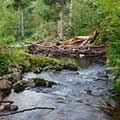 Beratung in Lebensübergängen